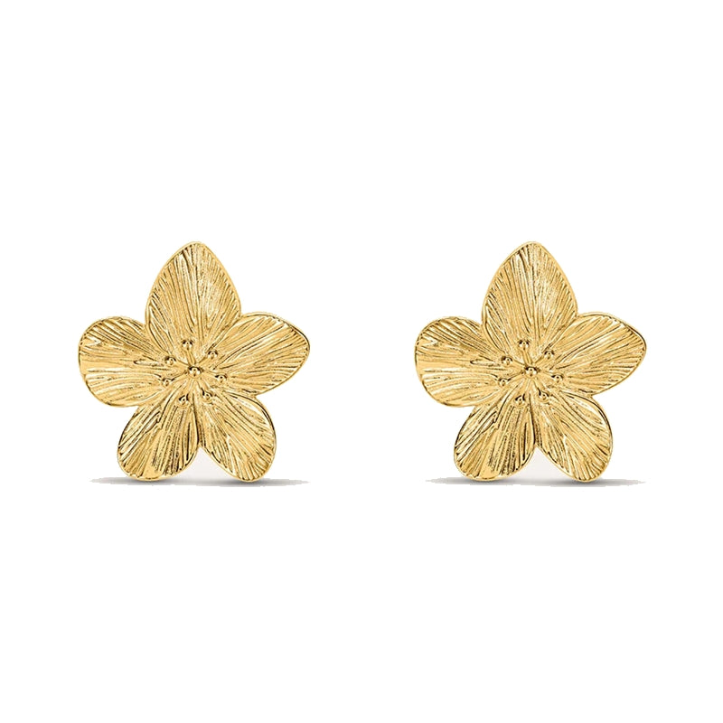 STROILI Mod. 1694692