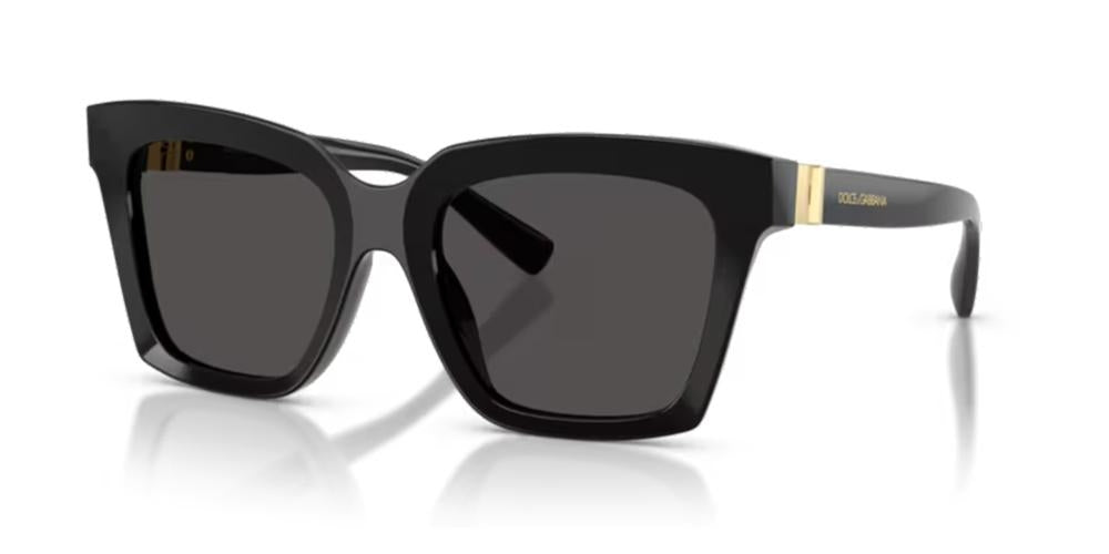 DOLCE & GABBANA MOD. DG 4498