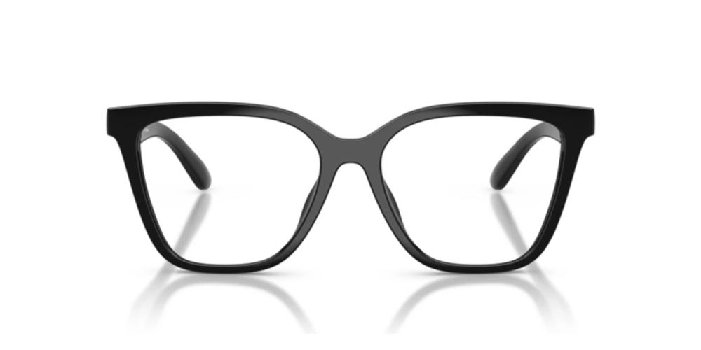 EMPORIO ARMANI MOD. EA 4254U WITH CLIP ON