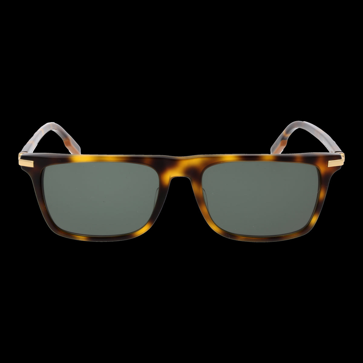 ERMENEGILDO ZEGNA MOD. EZ0204 5652N