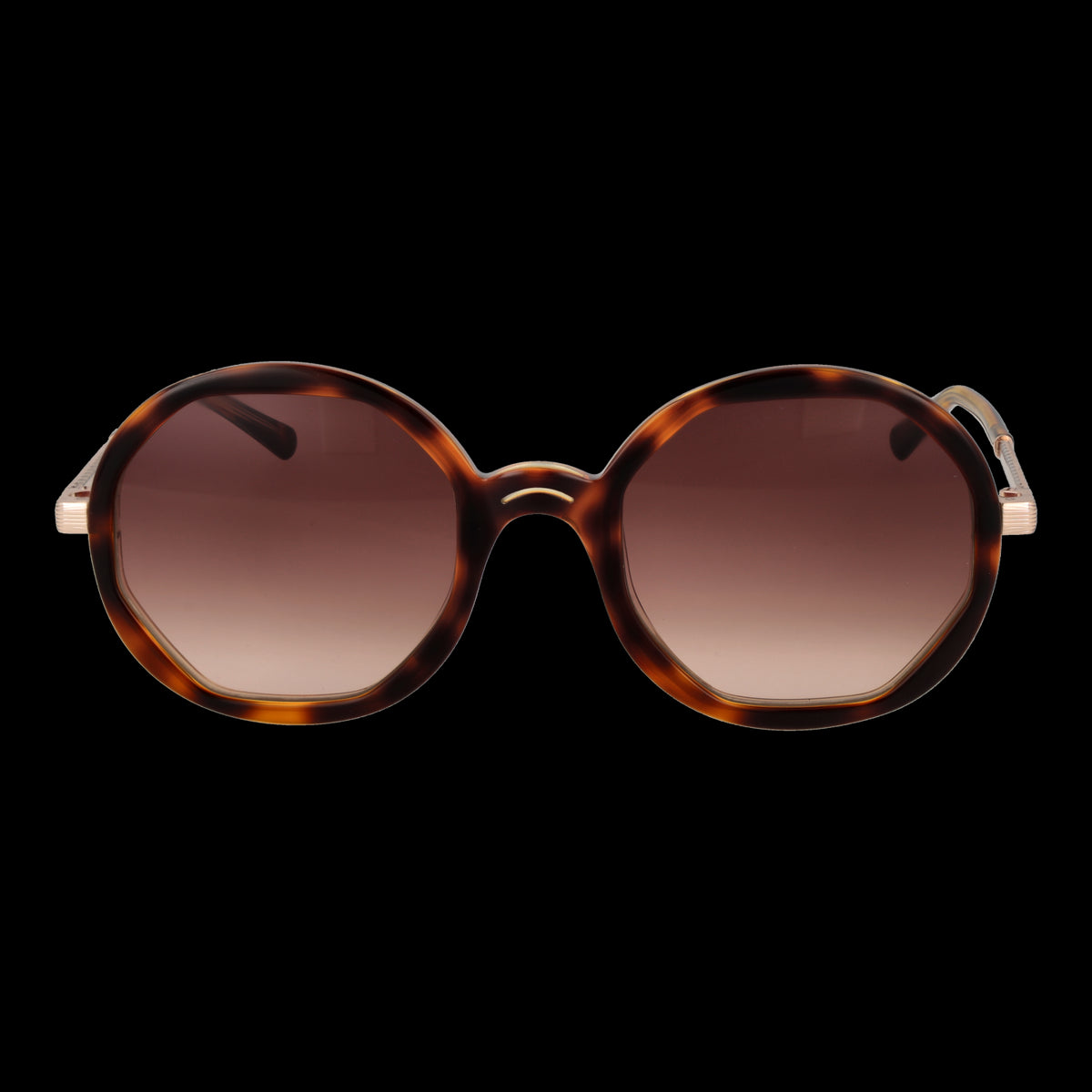 SANDRO MOD. SD6042 53170