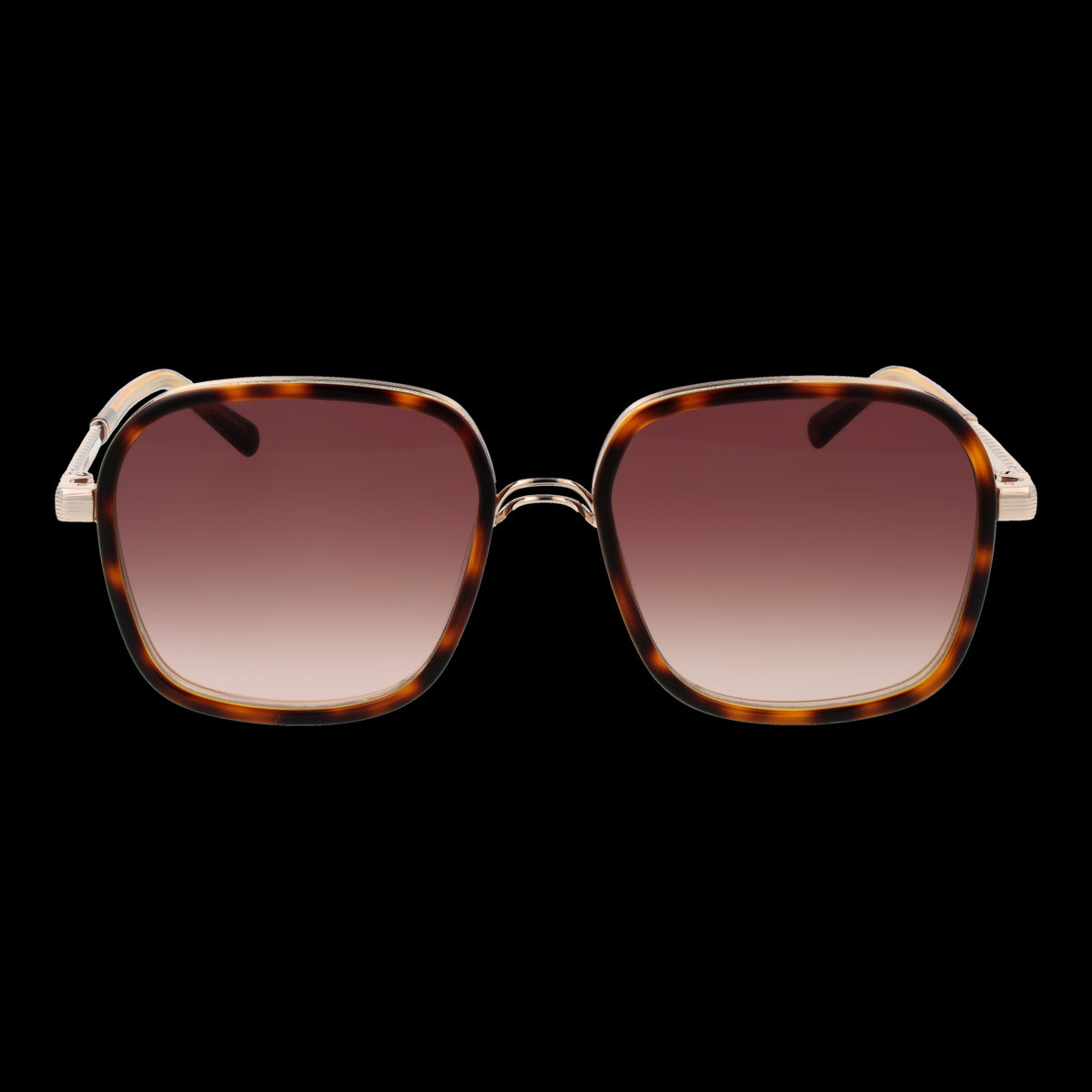 SANDRO MOD. SD6050 54170