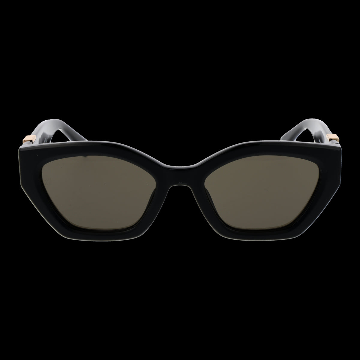 TOMMY HILFIGER MOD. TH 1979_S 54807IR