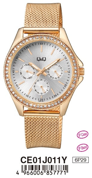 Q&Q Mod. LADY DIGITAL DAY DATA 24H