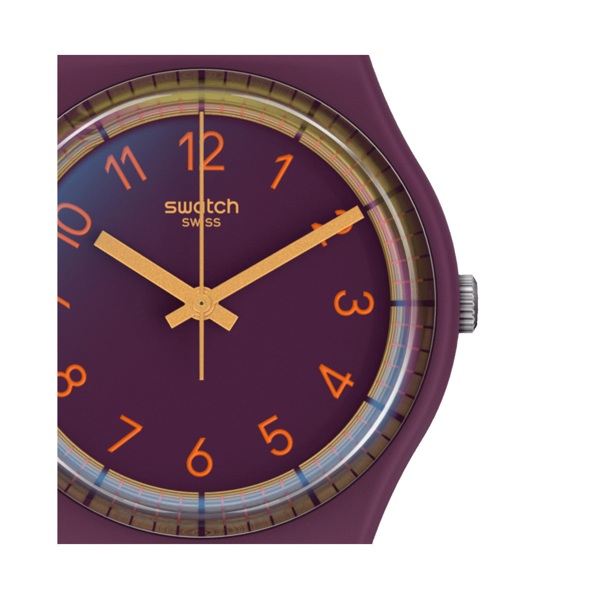 SWATCH Mod. WINEPAY!