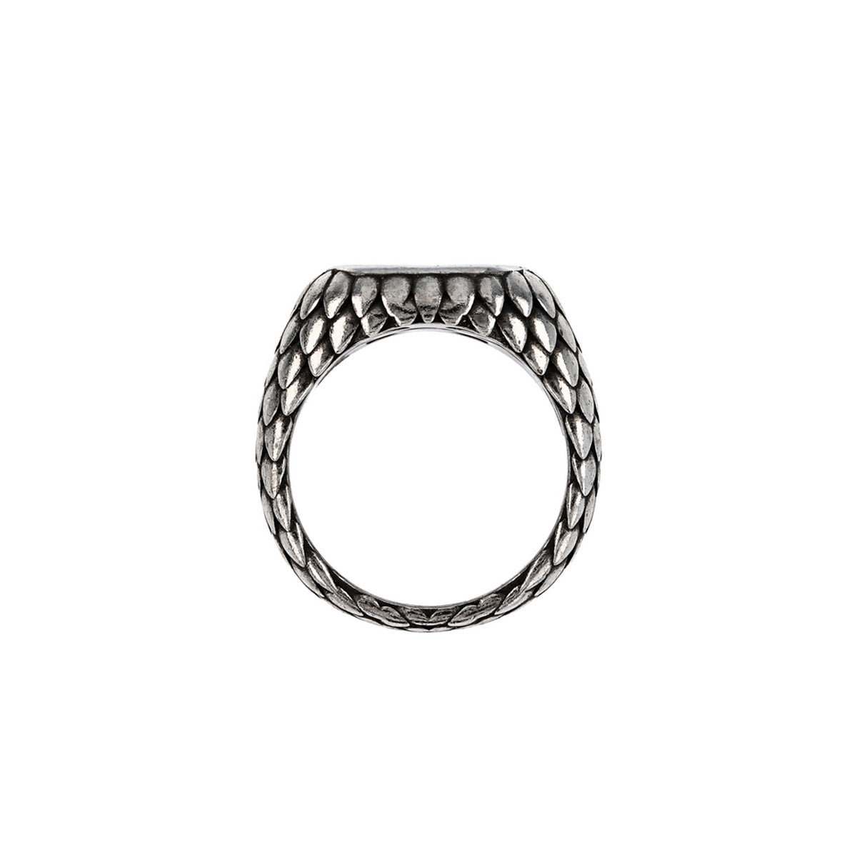 ALBERT M. JEWELS JEWELRY Mod. WSOX00569.TG-24